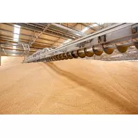 Как выбрать склад для хранения зерна?